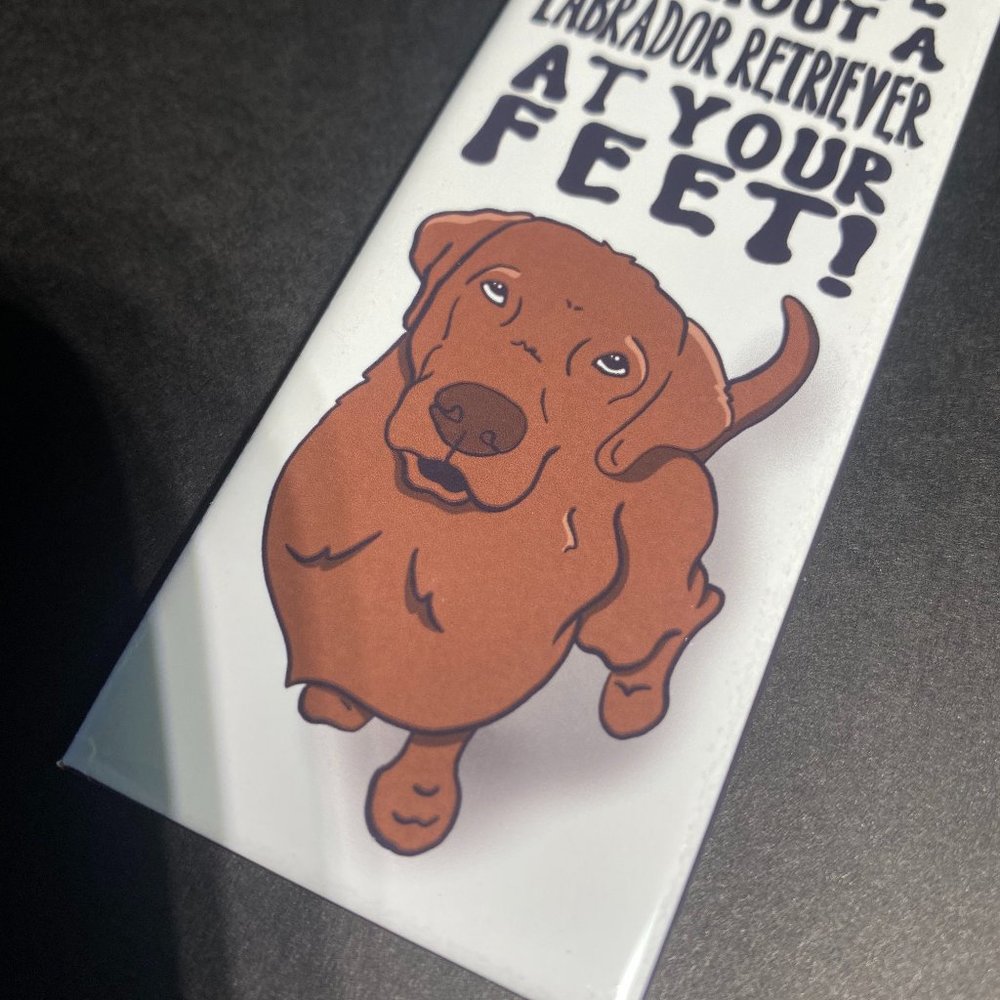 Chocolate Labrador Retriever Kitchen Magnet Decor - Picture 3 of 5